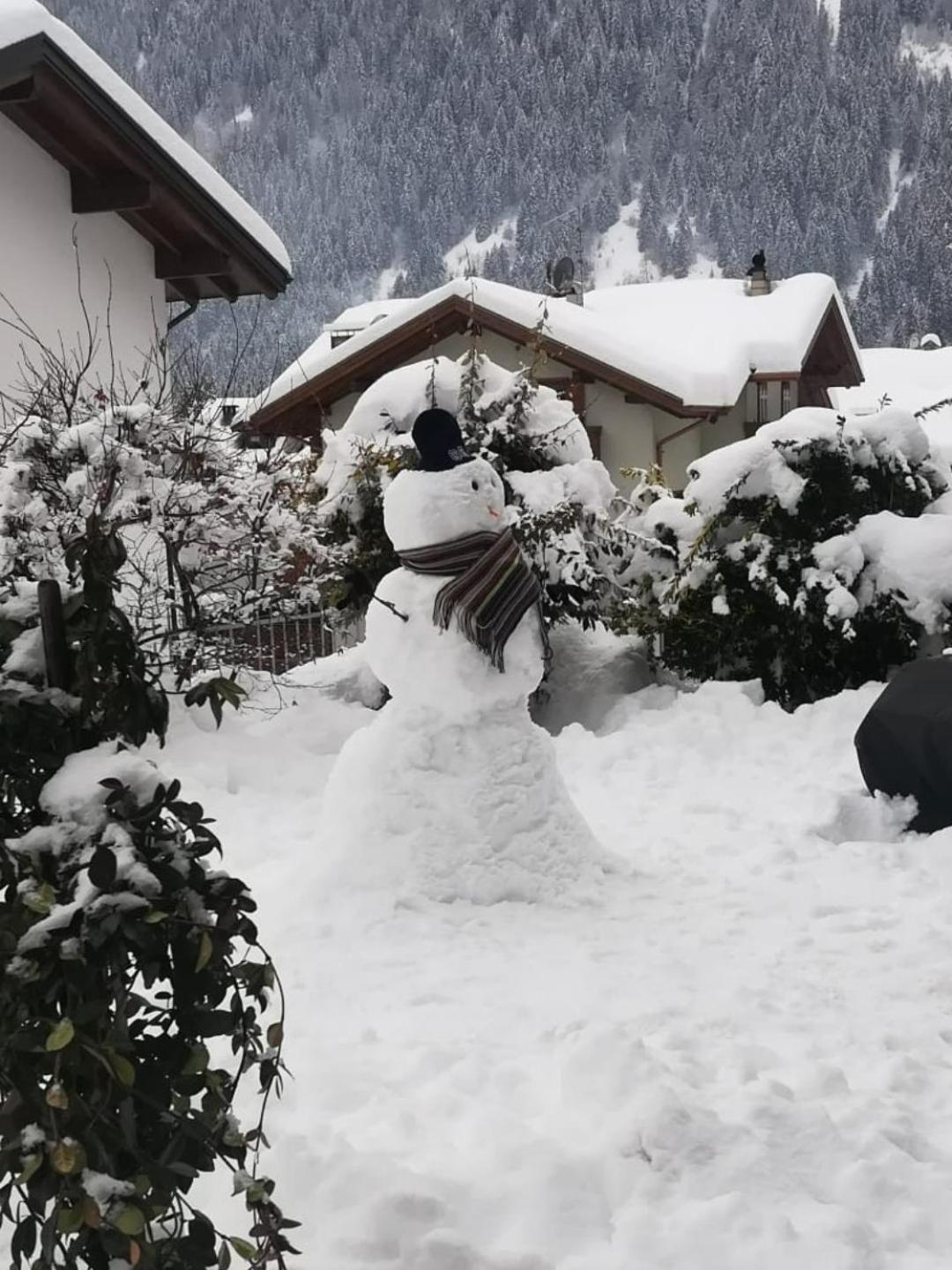 Appartamento Con Giardino Carisolo Bagian luar foto