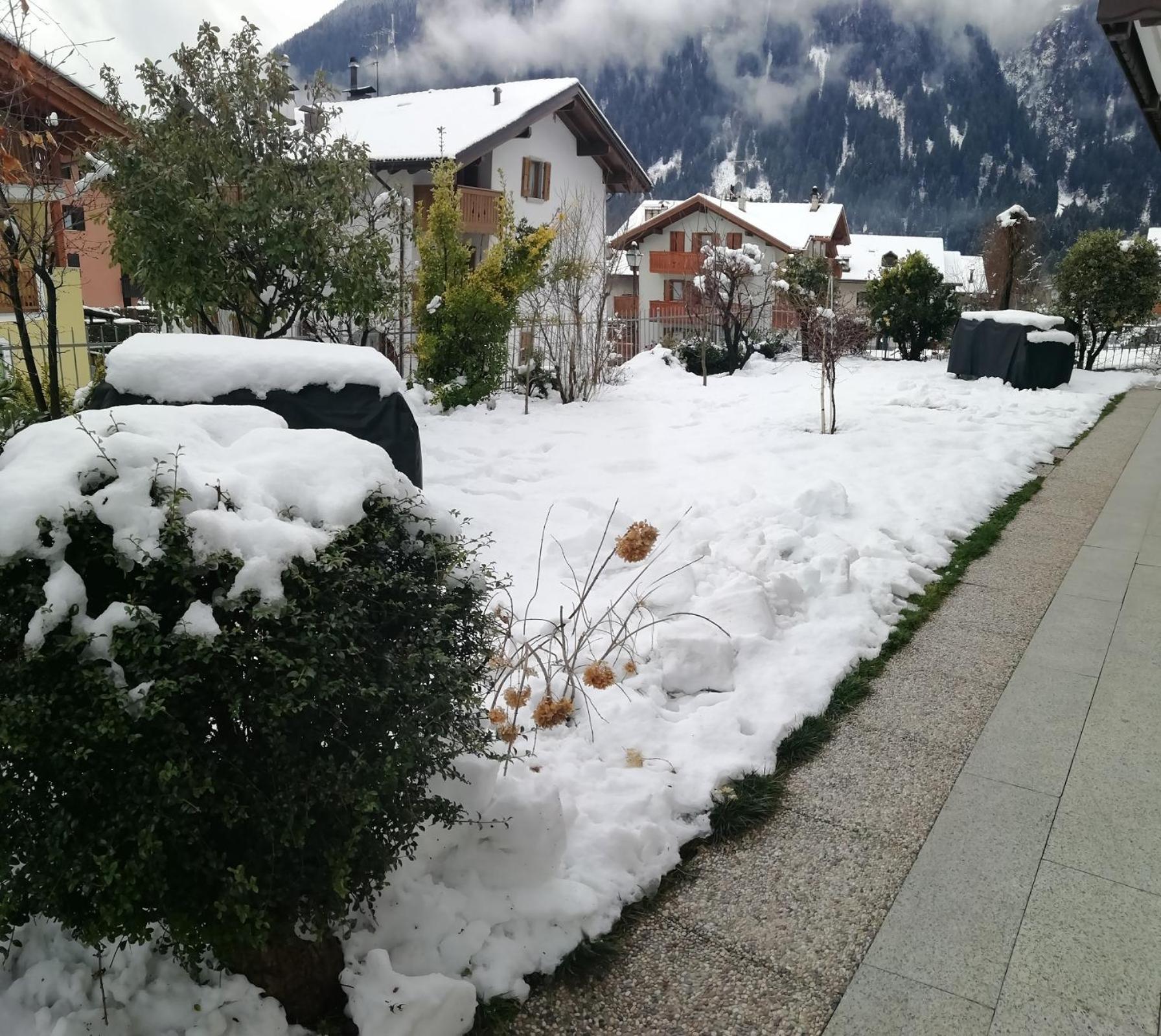 Appartamento Con Giardino Carisolo Bagian luar foto
