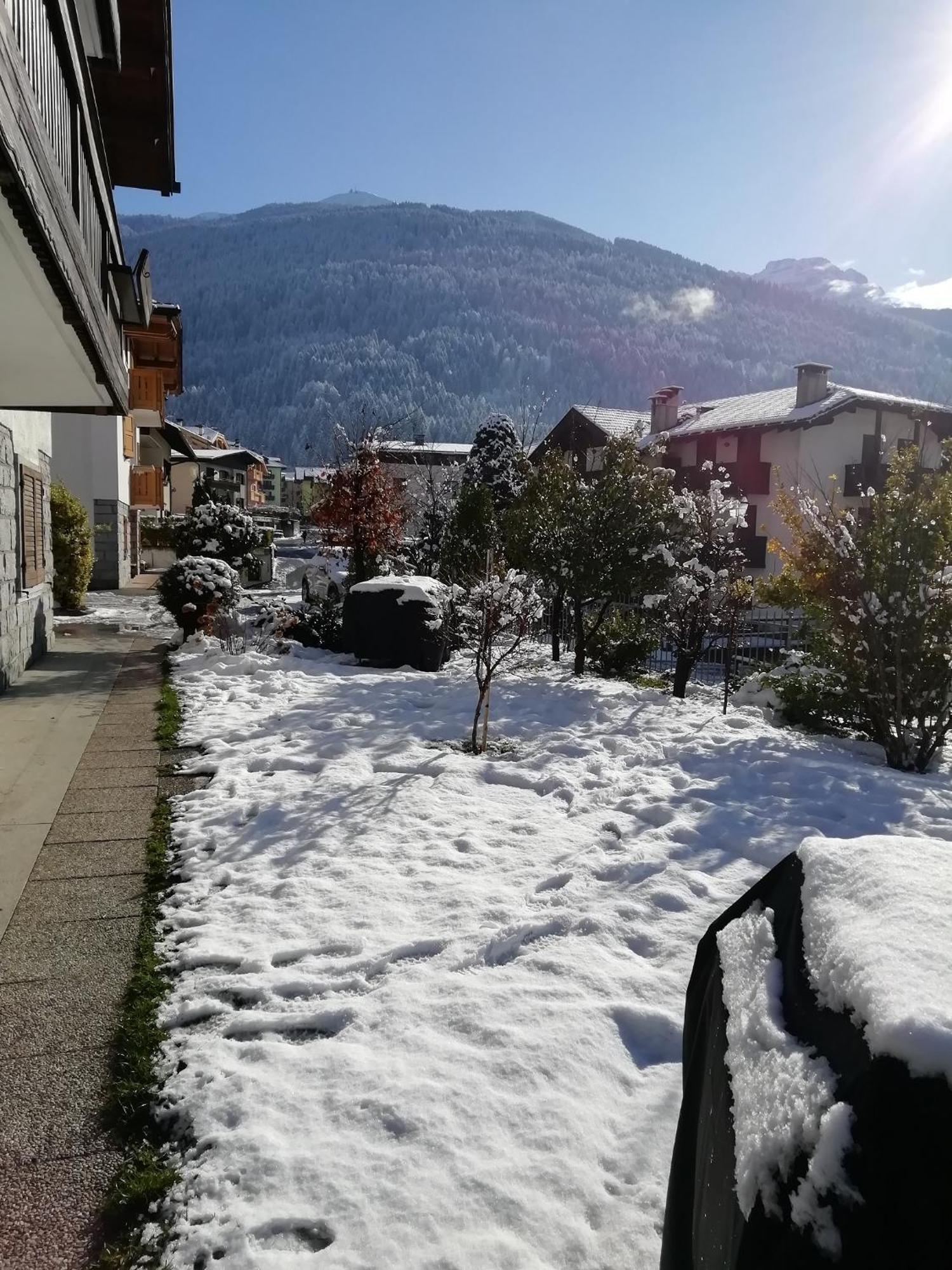 Appartamento Con Giardino Carisolo Bagian luar foto