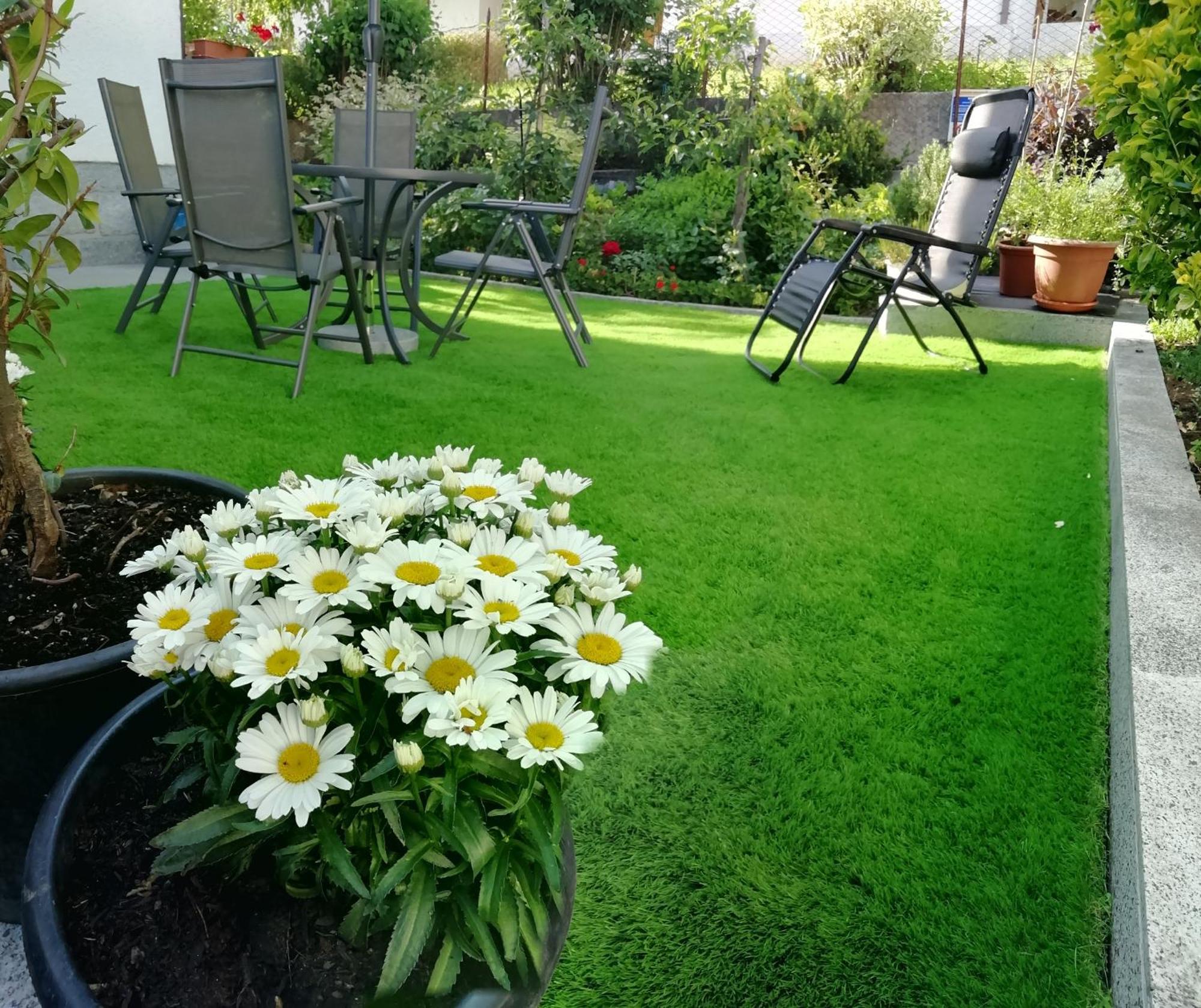 Appartamento Con Giardino Carisolo Bagian luar foto